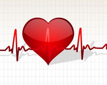 心跳决定寿命长短低于50超过80都折寿