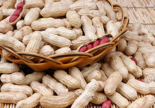 花生是长生果 细数花生的6大养生价值- Micro