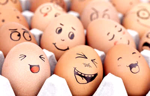 鸡蛋怎么吃才健康？专家：适量吃不会升高胆固醇健康卫生频道