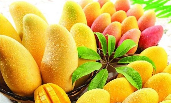 吃芒果有五大好处夏季如何挑选出美味的芒果？健康卫生频道