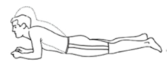 6个姿势练好腰背肌——医生送给腰痛患者的秘笈（图）