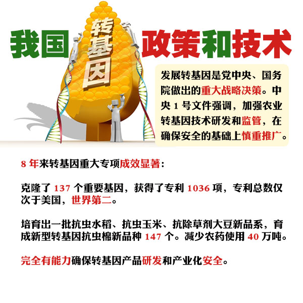 图解:农业部权威回应转基因六大焦点问题【2】