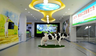 中国奶业20强(D20)峰会--人民健康网