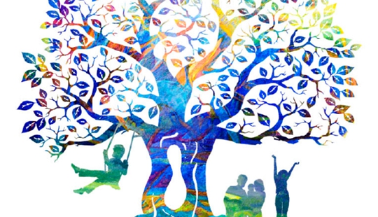 ��ҽ����������סԺҽ�Ʊ��ϼƻ�