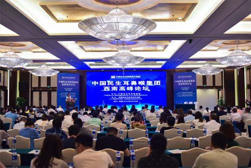 中国民生耳鼻喉集团西南高峰论坛举办