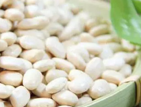 白芸豆能减肥？