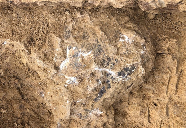 从旧石器时代遗址到北宋州桥 国家文物局通报四项考古新发现