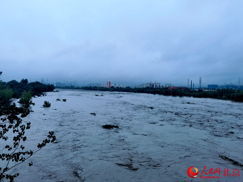 永定河水流湍急，河水已漫过河堤。人民网记者 李楠楠摄