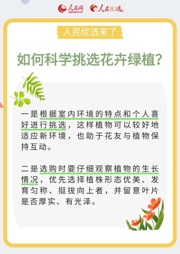 室内花卉绿植怎么选？实用小贴士请查收