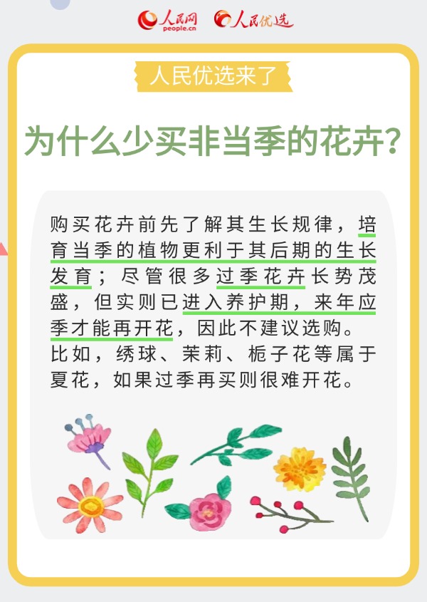 室内花卉绿植怎么选？实用小贴士请查收