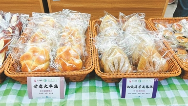 养生面包走红