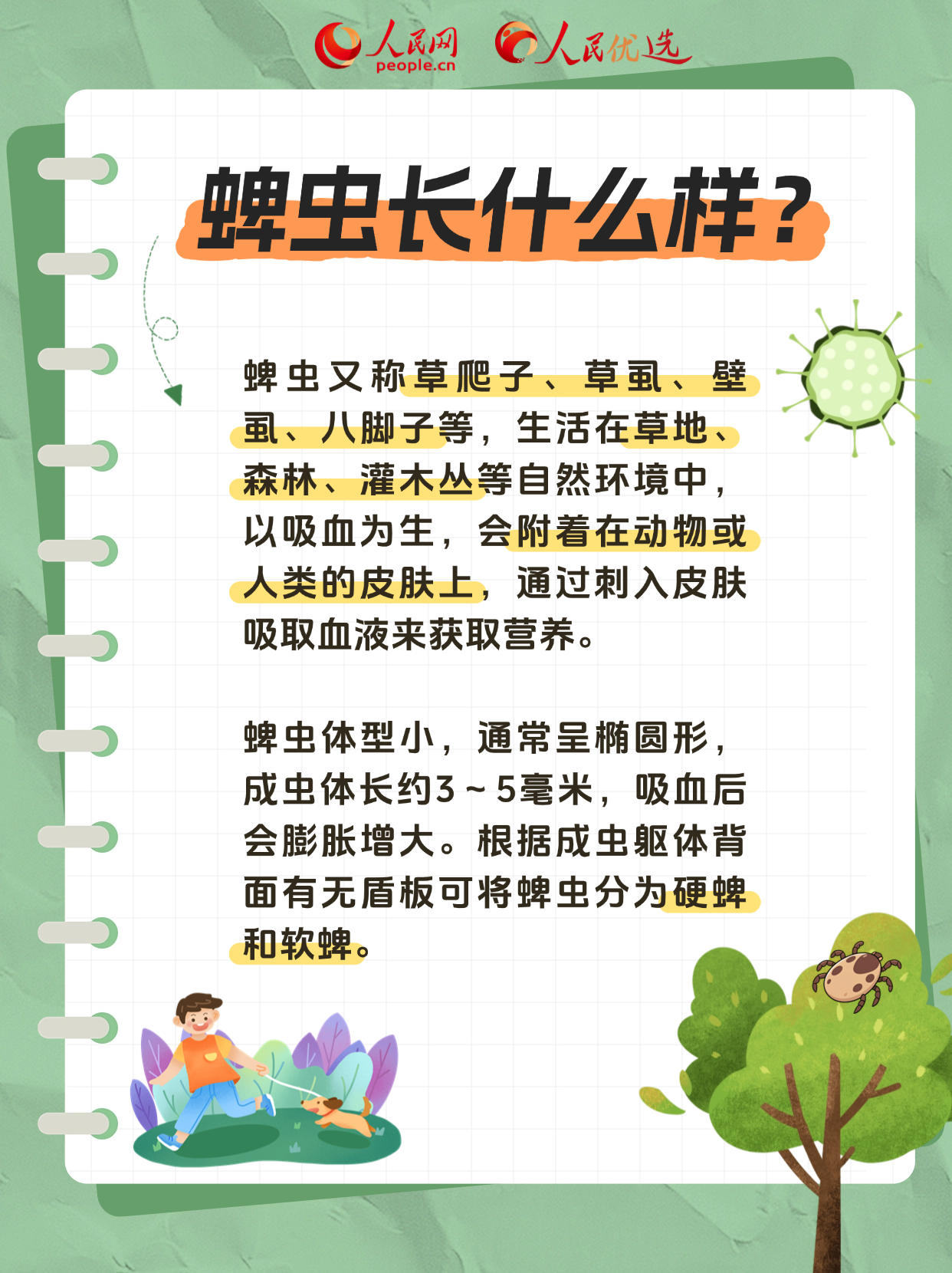 不要让“爬行草”在标签上爬行！请检查指南以避免滴答