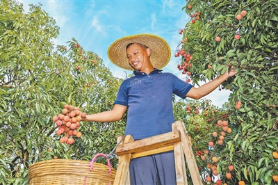 蓝莓等大幅降价