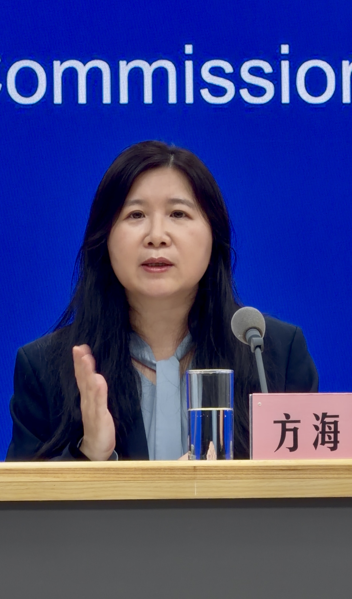 发布会现场。人民网记者 丁亦鑫摄