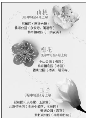 开启春花观赏季 市属公园“花事”多