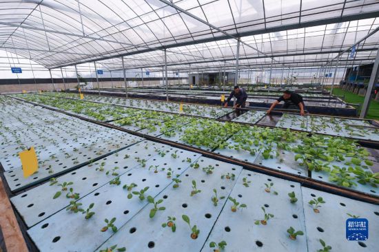 浙江湖州：生态农业助力农旅融合发展