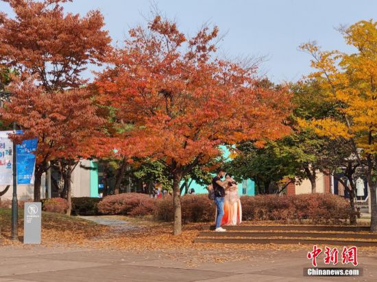 韩国首尔民众出游赏秋