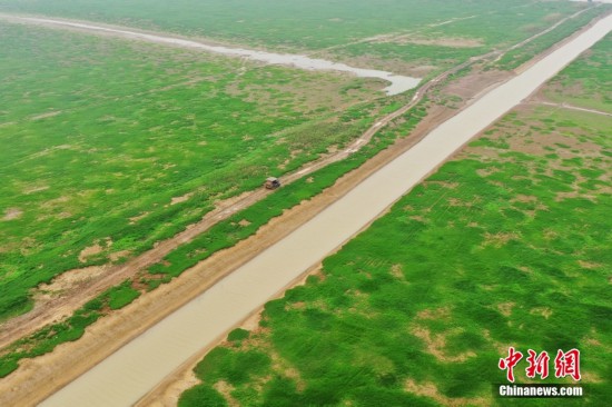 江西鄱阳湖进入枯水期 河床裸露变身滩涂草洲