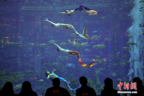 首届中国美人鱼表演赛三亚开赛