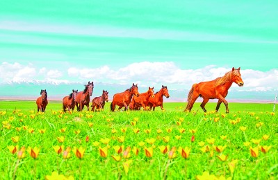 新疆：春风十里 陌上花开